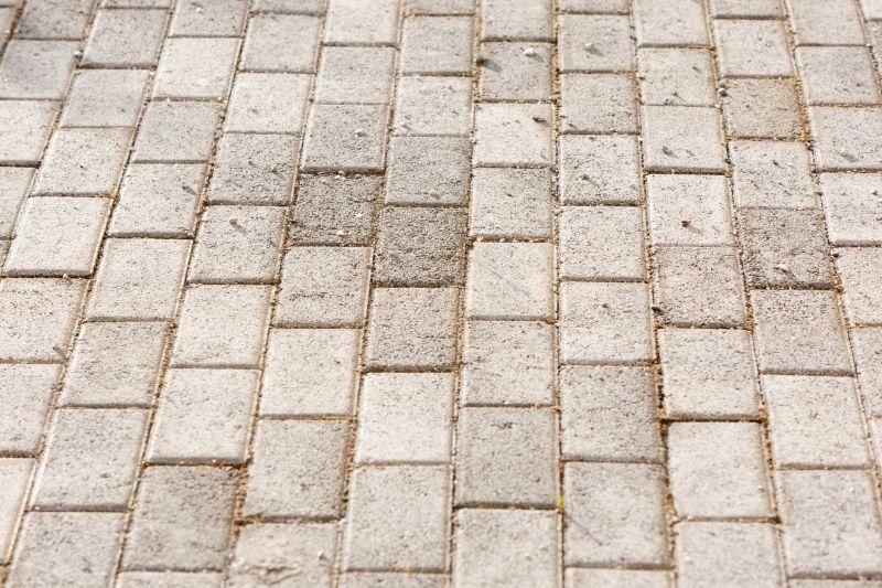 Elegant Paver Driveways