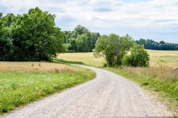Stone Driveway Repair in Augusta