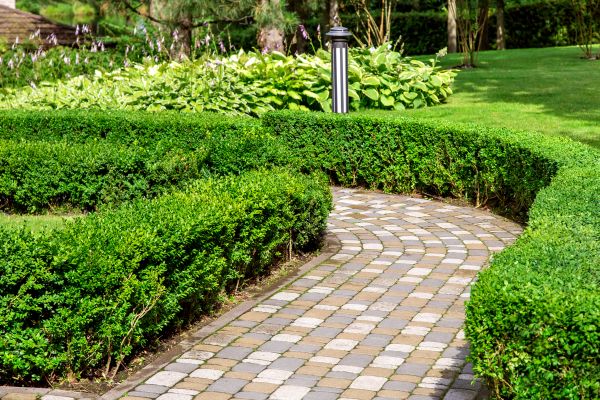 Cost of Paved Landscaping in Augusta