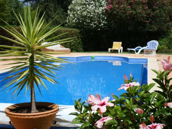 Cost of Pool Terrace Renovation in Augusta